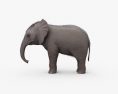 Baby Elephant 3d model