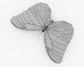 Morpho Butterfly HD 3d model