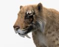 Tigre dente de sabre Modelo 3d