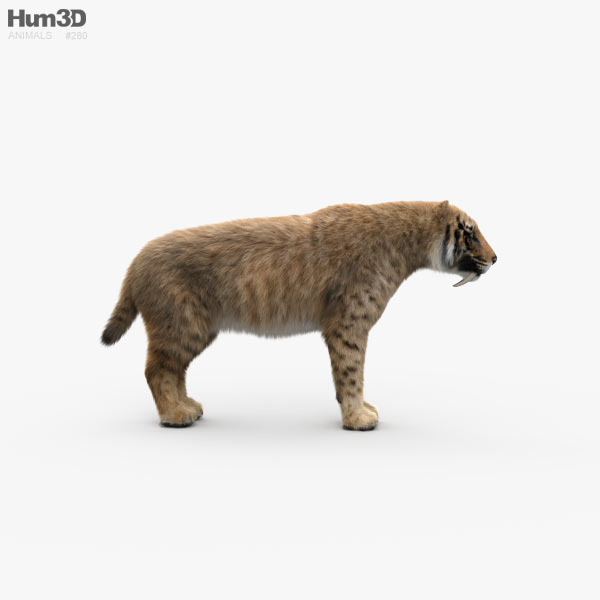Karte: Säbelzahn 3D Lentikular Tiger Smilodon Sabre Tooth Tiger 