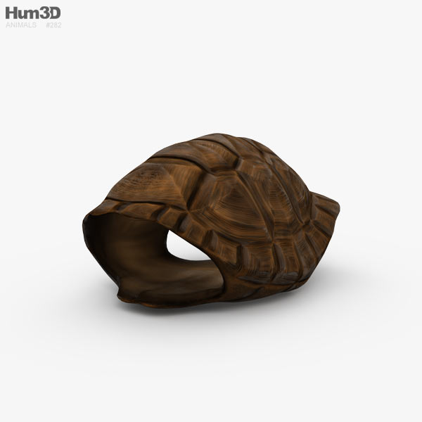 Caparazón de tortuga Modelo 3D
