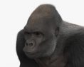 Gorilla 3d model