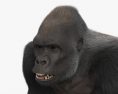 Gorilla 3d model