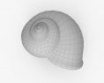 Snail Shell 3d model