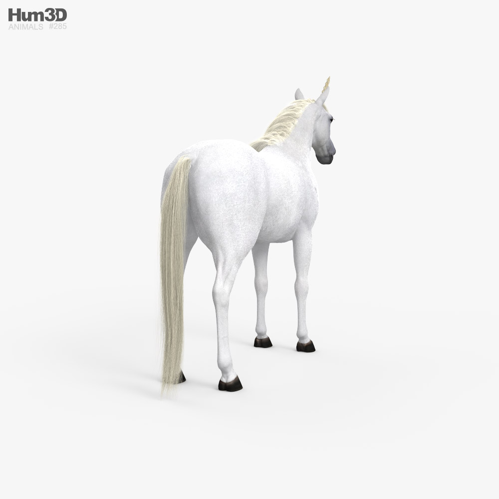 Unicorn 3d Model Rigged And Low Poly | lupon.gov.ph