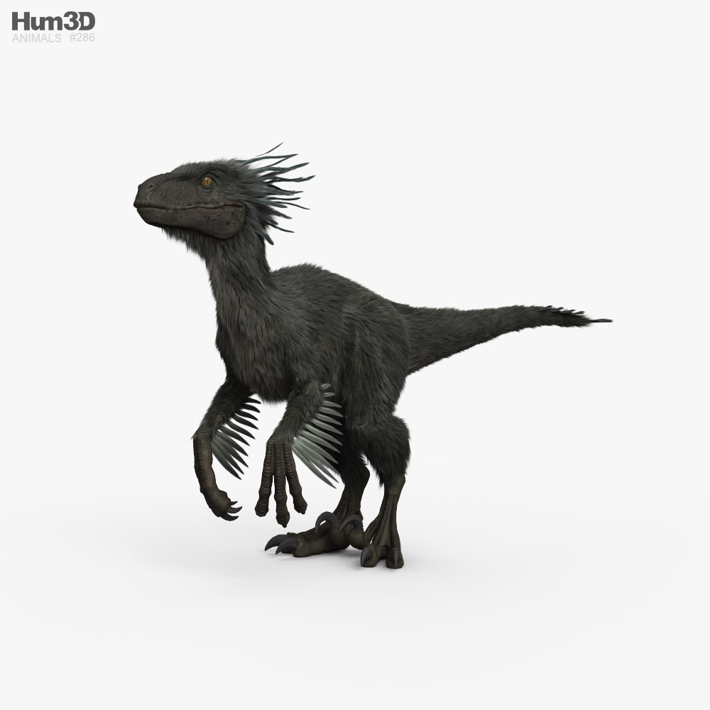 Raptor HD 3D model