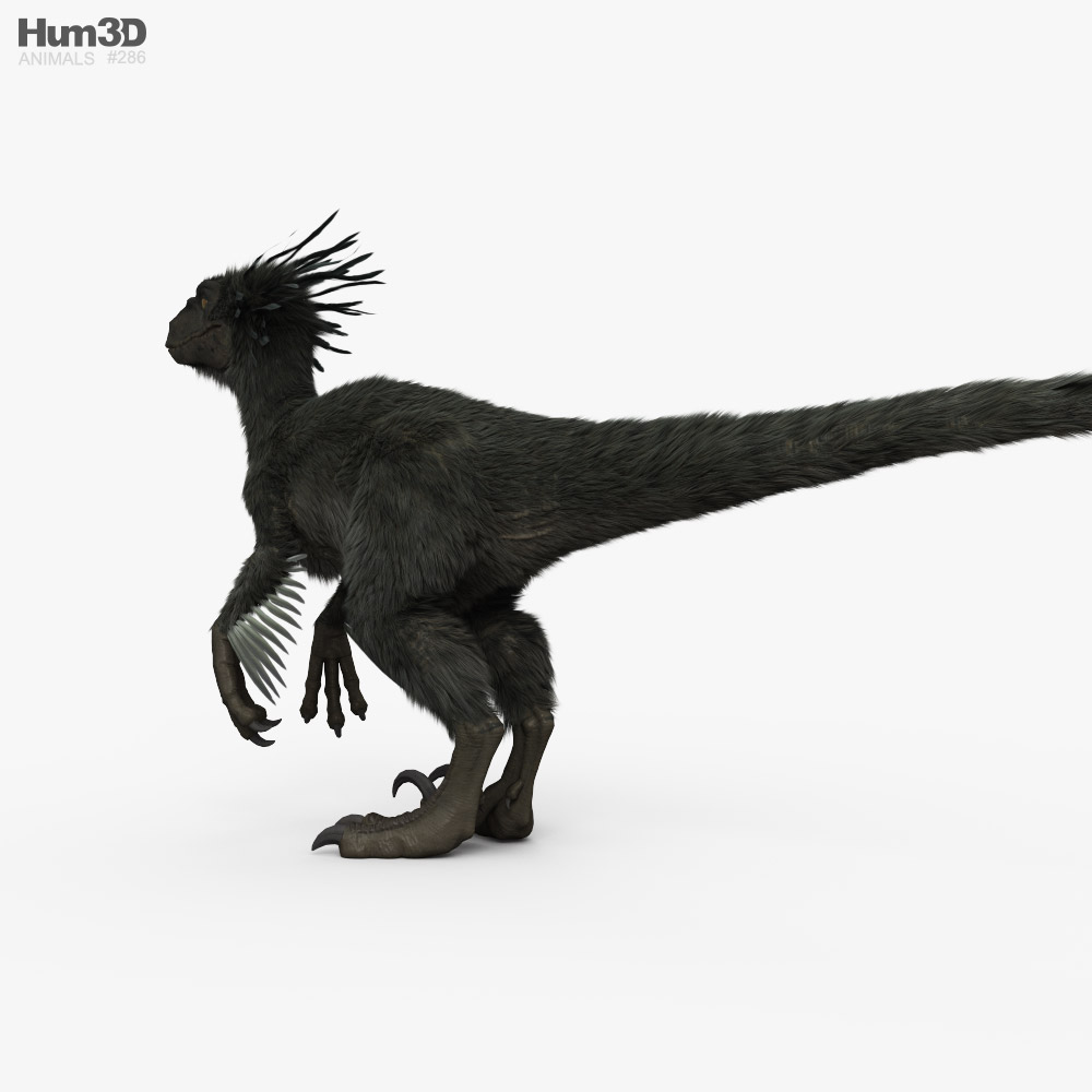Raptor HD 3d model