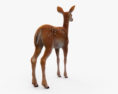 Deer Fawn HD Modello 3D