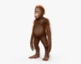 Orangutan Baby HD 3d model