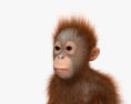 Orangutan Baby 3d model