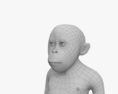 Orangutan Baby HD 3d model