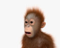 Bebê orangotango Modelo 3d