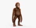 Bébé orang-outan Modèle 3d