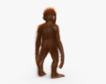 Bébé orang-outan Modèle 3d