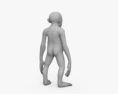 Orangutan Baby 3d model