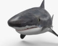 Tiger Shark HD 3d model