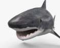 Tiger Shark 3d model