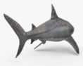 Tiger Shark 3d model