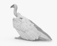 白背秃鹫 3D模型