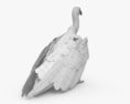 Buitre dorsiblanco africano Modelo 3D