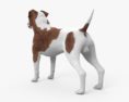 Jack Russell Terrier HD 3d model