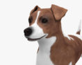 Jack Russell Terrier HD 3d model