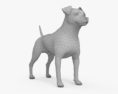Jack Russell Terrier Modello 3D