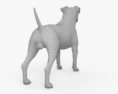 Jack Russell Terrier Modello 3D