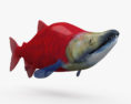 Sockeye Salmon HD 3d model