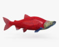 Sockeye Salmon HD 3d model