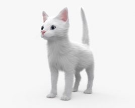 白い子猫 3Dモデル