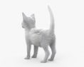 Gattino bianco Modello 3D