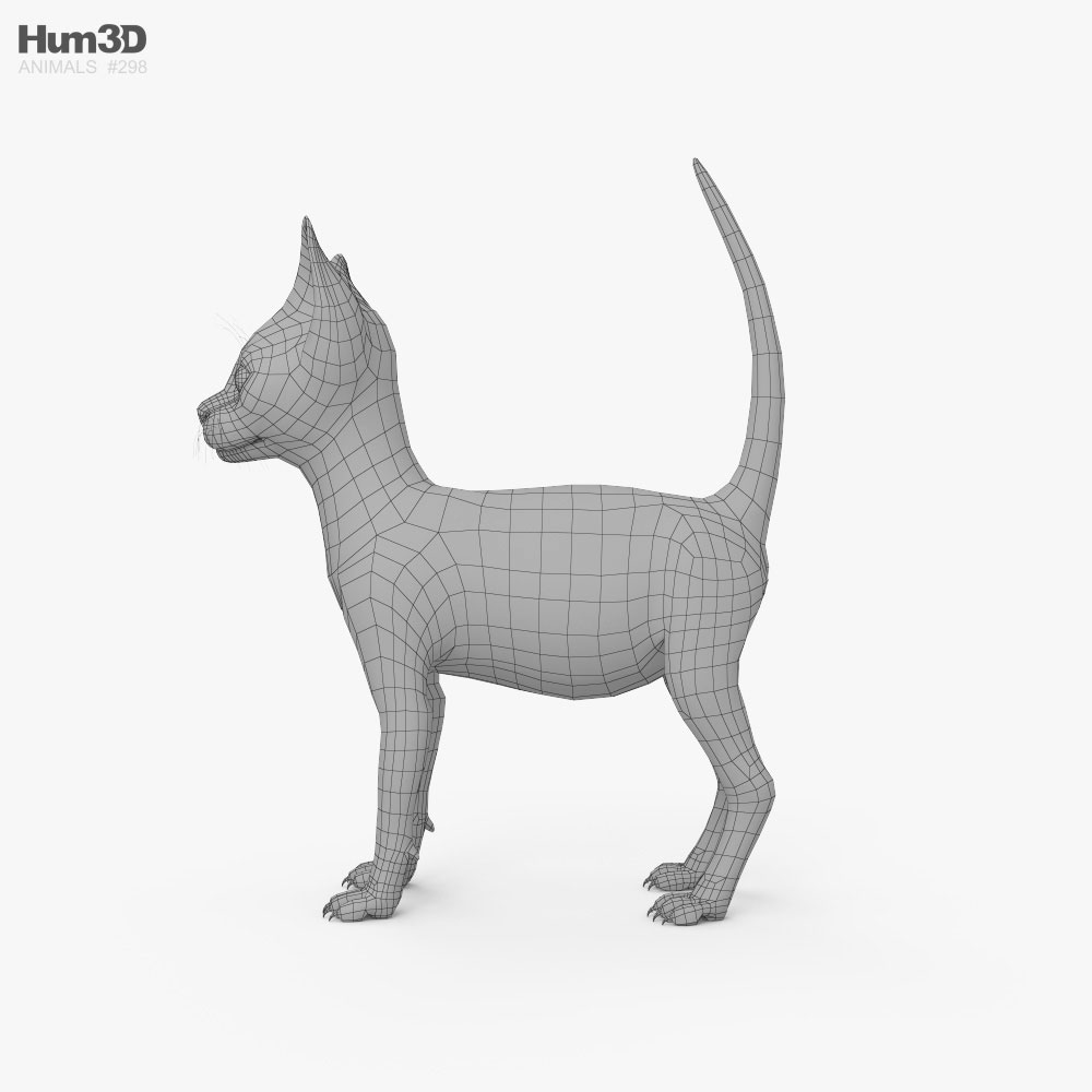 White Kitten HD 3D model - Animals on Hum3D