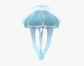 Common Jellyfish HD 3d model