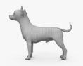 Yorkshire Terrier HD 3d model