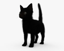 Schwarzes kätzchen 3D-Modell