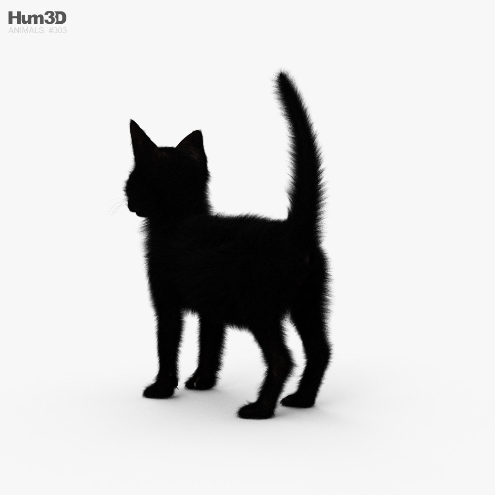 Gattino nero Modello 3D