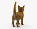 Ginger Kitten HD 3d model