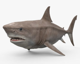 Megalodon 3D model