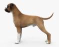 Boxer Dog HD 3d model