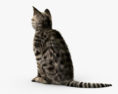 Sitting Cat 3d model