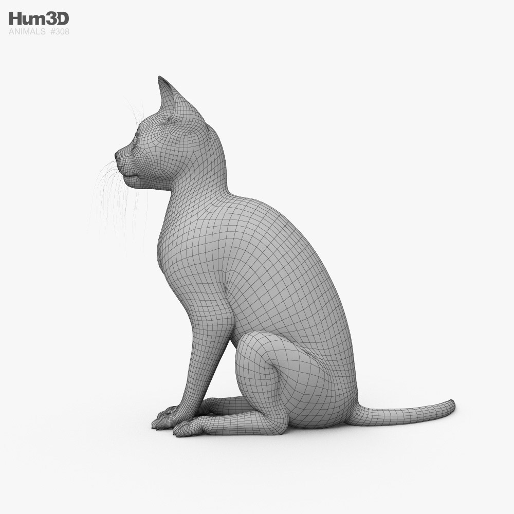 Sitting Cat 3D model - Animals on Hum3D