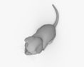Sitting Cat 3d model