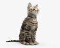 Sitting Cat 3d model