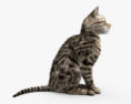 Sitting Cat 3d model