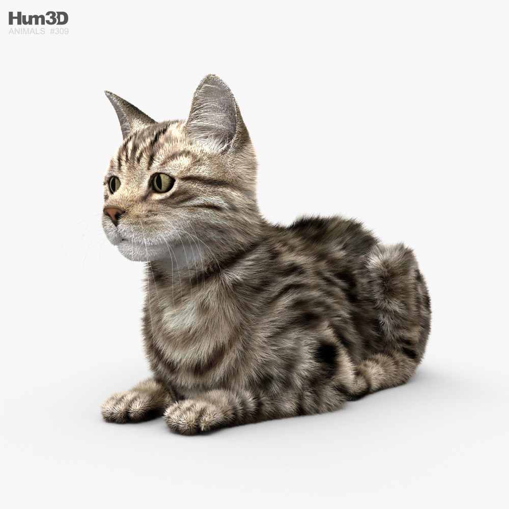 Лежачий кіт 3D модель
