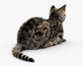 Lying Cat HD 3d model