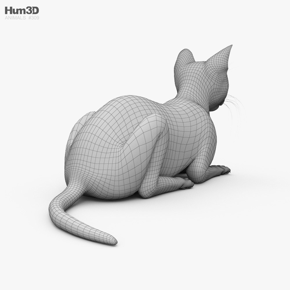 横になっている猫 3dモデル 動物 On Hum3d