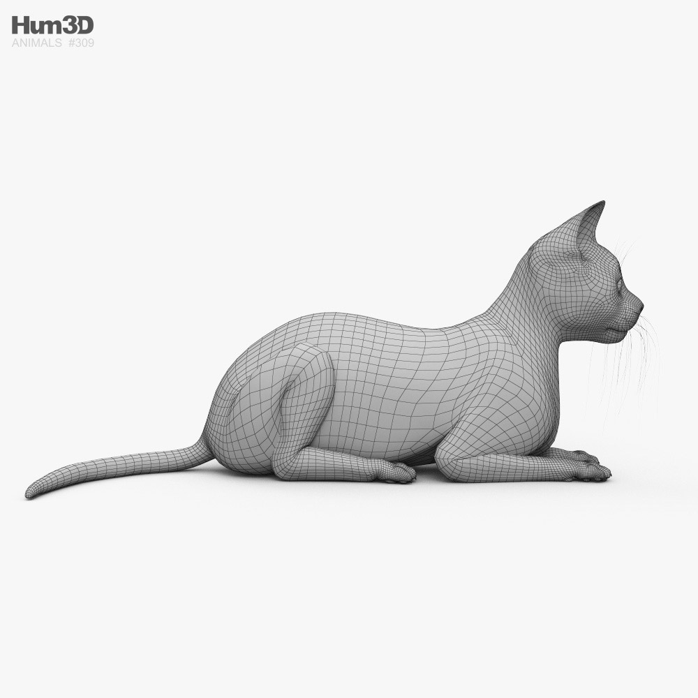 横になっている猫 3dモデル 動物 On Hum3d