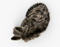 Schlafende Katze 3D-Modell